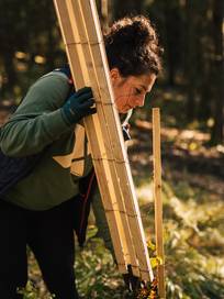 Eine Frau pflanzt einen Baum ein